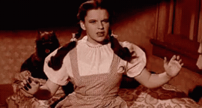 Dorothy From The Wizard Of Oz Is Sitting On A Bed With A Black Cat Behind Her . GIF