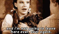 Dorothy Gale Theres No Place Like Home GIF