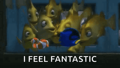 Dory And Clown Fish Looking At Each Other GIF