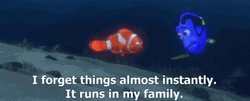 Dory And Nemo Talking GIF