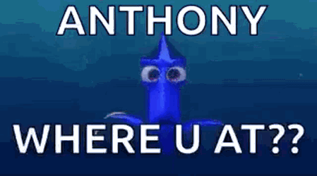 Dory Are You There GIF