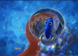 Dory Being Caught By Octopus GIF
