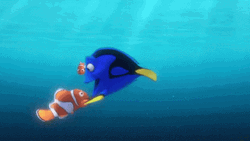 Dory Encircling Nemo GIF