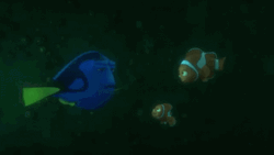 Dory Explaining To Nemo GIF