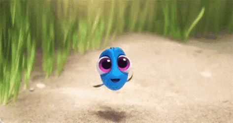 Dory Finding Dory GIF