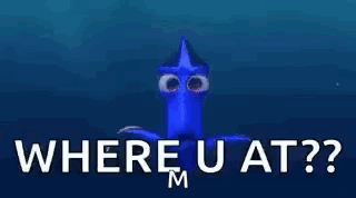 Dory From The Movie Finding Nemo Is Asking Where U At ? GIF