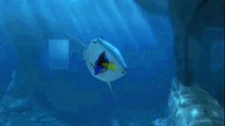 Dory Getting Chased By Sharks GIF