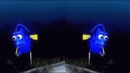 Dory Mirror GIF