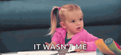 Double Ponytail Girl It Wasn't Me GIF