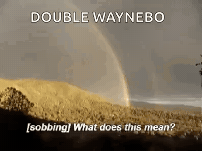 Double Rainbow Double Waynebo GIF
