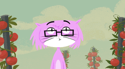 Double Take Cat Kitty Not Cat GIF