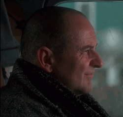 Double Take Home Alone Harry Glare GIF
