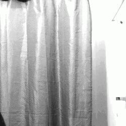 Double Take What Whoa Huh Reaction GIF