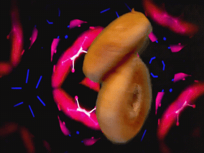 Doughnut Surrounded By Pink And Blue Sprinkles GIF