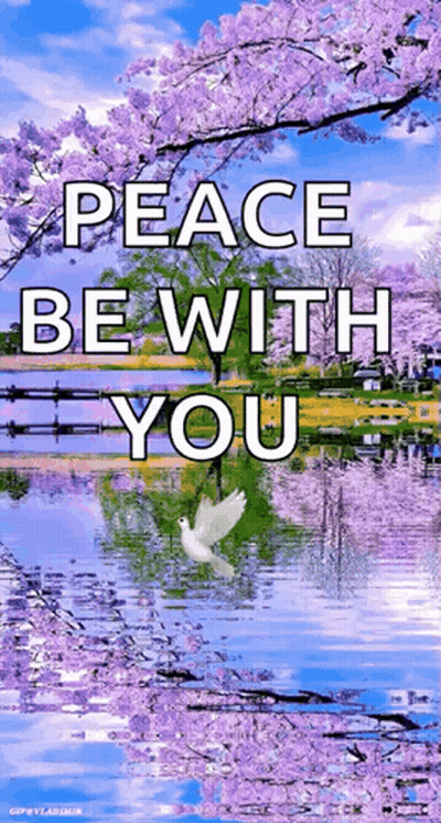 Dove Flying Over Lake With Purple Flowers GIF