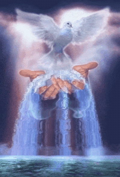 Dove Flying Over Waterfall Held By Person GIF