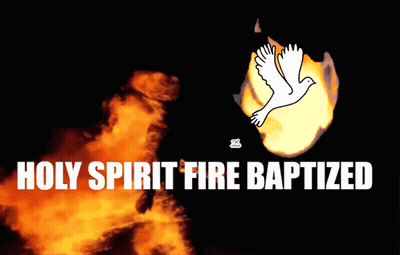 Dove Holy Spirit Fire Baptized GIF