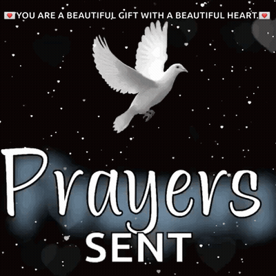 Dove Prayers Sent GIF