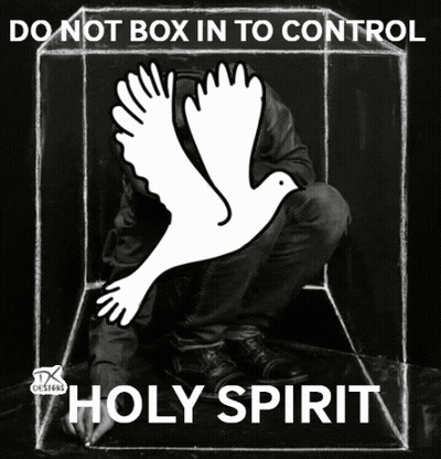 Dove Saying Do Not Box In To Control Holy Spirit GIF