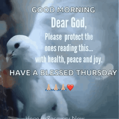 Dove Saying Good Morning Dear God Please Protect The Ones Reading This GIF
