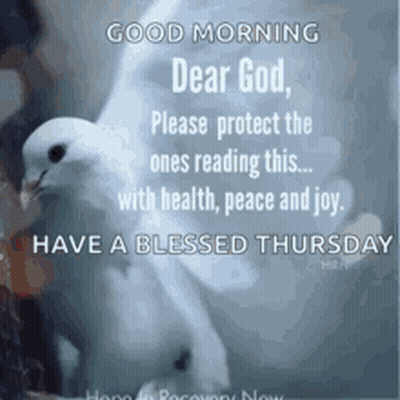 Dove Saying Good Morning Dear God Please Protect The Ones Reading This With Health Peace GIF