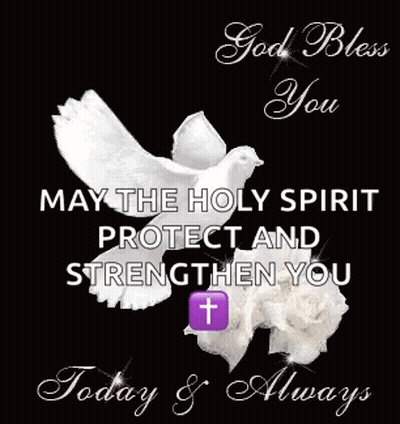 Dove With God Bless You May The Holy Spirit Protect And Strengthen You Today & Always GIF