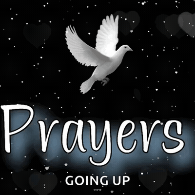 Dove With Prayers Going Up GIF