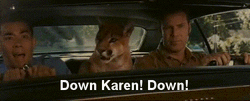 Down Karen Down Friendly Lion In Car GIF