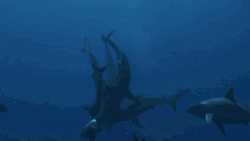 Dozen Of Goblin Shark Fighting Under Water GIF