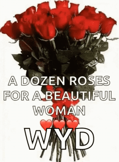 Dozen Red Roses For Beautiful Woman Wyd GIF