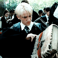 Draco Malfoy Book Of Monsters