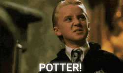 Draco Malfoy Saying Potter Meme
