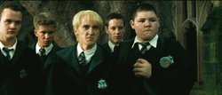Draco Malfoy Turns Into Ferret