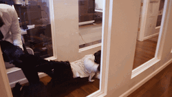 Dragging Monkey Man Outside GIF