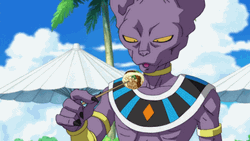 Dragon Ball Beerus Enjoys Eating Takoyaki  GIF