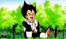 Dragon Ball Prince Vegeta Laughing