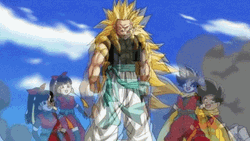 Dragon Ball Super Fight Scene  GIF