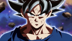 Dragon Ball Super Goku Awakening Ultra Instinct  GIF