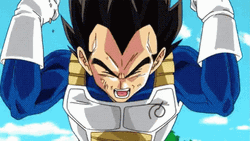 Dragon Ball Vegeta Gok GIF