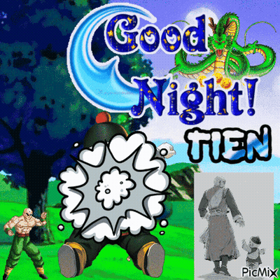 Dragon Ball Z Good Night Tien GIF