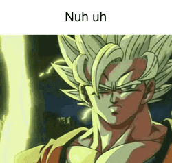 Dragon Ball Z Nuh Uh  GIF