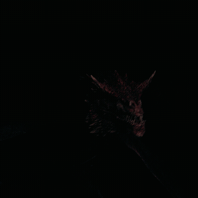 Dragon Head Close Up Black Background GIF