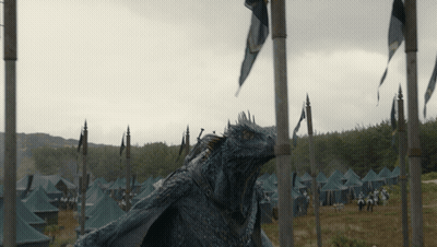 Dragon In Field With Tents And Flags GIF