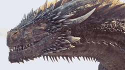 Dragon Look Game Of Thrones