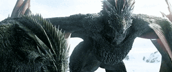 Dragon Seasmoke Open Wings GIF