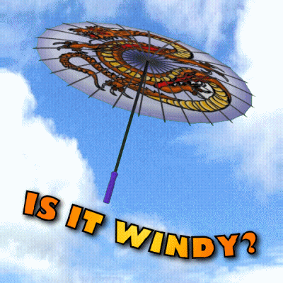 Dragon Umbrella Flying Saying Is It Windy GIF