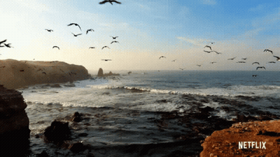 Dragon With Farewell Chat GIF