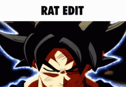 Dragonball Rat Edit