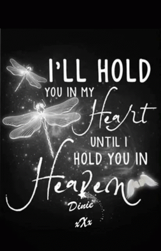 Dragonfly Poster I Hold You In My Heart GIF