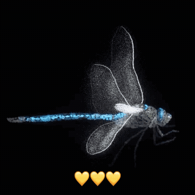 Dragonfly Surrounded By Three Hearts GIF